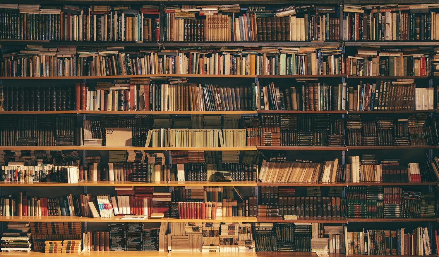 Bookshelves filled with reference books